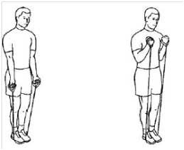 Biceps-curl-med-strikk_medium